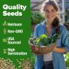 imageHOME GROWN San Marzano Tomato Seeds  132 Heirloom   Seeds  High Germination Tomatoes for Indoor ampamp Outdoor Growing  Classic Paste Variety for Gardeners ampamp Home UseSpinach 2Pack