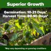 imageHOME GROWN San Marzano Tomato Seeds  132 Heirloom   Seeds  High Germination Tomatoes for Indoor ampamp Outdoor Growing  Classic Paste Variety for Gardeners ampamp Home UseJalapeno Pepper 2Pack