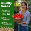 imageHOME GROWN San Marzano Tomato Seeds  132 Heirloom   Seeds  High Germination Tomatoes for Indoor ampamp Outdoor Growing  Classic Paste Variety for Gardeners ampamp Home UseSan Marzano Tomato 2Pack