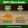 imageHOME GROWN San Marzano Tomato Seeds  132 Heirloom   Seeds  High Germination Tomatoes for Indoor ampamp Outdoor Growing  Classic Paste Variety for Gardeners ampamp Home UseCorn 2Pack