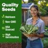 imageHOME GROWN San Marzano Tomato Seeds  132 Heirloom   Seeds  High Germination Tomatoes for Indoor ampamp Outdoor Growing  Classic Paste Variety for Gardeners ampamp Home UseVates Collard 2Pack