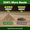imageHOME GROWN San Marzano Tomato Seeds  132 Heirloom   Seeds  High Germination Tomatoes for Indoor ampamp Outdoor Growing  Classic Paste Variety for Gardeners ampamp Home UseArugula 2Pack