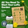 imageHOME GROWN San Marzano Tomato Seeds  132 Heirloom   Seeds  High Germination Tomatoes for Indoor ampamp Outdoor Growing  Classic Paste Variety for Gardeners ampamp Home UseLuffa 2Pack