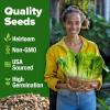 imageHOME GROWN San Marzano Tomato Seeds  132 Heirloom   Seeds  High Germination Tomatoes for Indoor ampamp Outdoor Growing  Classic Paste Variety for Gardeners ampamp Home UseRomaine Lettuce 2Pack