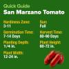 imageHOME GROWN San Marzano Tomato Seeds  132 Heirloom   Seeds  High Germination Tomatoes for Indoor ampamp Outdoor Growing  Classic Paste Variety for Gardeners ampamp Home UseSan Marzano Tomato 2Pack