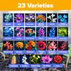 imageHOME GROWN Wildflower Seeds 3oz 89000 Flower Seed Mix  No Filler  19 Varieties USASourced Bulk Wild Flowers Seeds for Planting Butterfly ampamp Pollinator Perennial and Annual Wild Flower MixHummingbird Lite 2oz