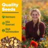imageHOME GROWN Wildflower Seeds 3oz 89000 Flower Seed Mix  No Filler  19 Varieties USASourced Bulk Wild Flowers Seeds for Planting Butterfly ampamp Pollinator Perennial and Annual Wild Flower Mix2 oz Honeybee