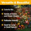 imageHOME GROWN Wildflower Seeds 3oz 89000 Flower Seed Mix  No Filler  19 Varieties USASourced Bulk Wild Flowers Seeds for Planting Butterfly ampamp Pollinator Perennial and Annual Wild Flower Mix2 oz Honeybee