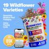 imageHOME GROWN Wildflower Seeds 3oz 89000 Flower Seed Mix  No Filler  19 Varieties USASourced Bulk Wild Flowers Seeds for Planting Butterfly ampamp Pollinator Perennial and Annual Wild Flower Mix3 oz Honeybee