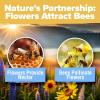 imageHOME GROWN Wildflower Seeds 3oz 89000 Flower Seed Mix  No Filler  19 Varieties USASourced Bulk Wild Flowers Seeds for Planting Butterfly ampamp Pollinator Perennial and Annual Wild Flower Mix3 oz Honeybee