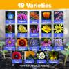 imageHOME GROWN Wildflower Seeds 3oz 89000 Flower Seed Mix  No Filler  19 Varieties USASourced Bulk Wild Flowers Seeds for Planting Butterfly ampamp Pollinator Perennial and Annual Wild Flower Mix2 oz Honeybee
