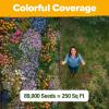 imageHOME GROWN Wildflower Seeds 3oz 89000 Flower Seed Mix  No Filler  19 Varieties USASourced Bulk Wild Flowers Seeds for Planting Butterfly ampamp Pollinator Perennial and Annual Wild Flower MixHummingbird Lite 2oz