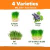 imageHome Grown 3200 Indoor Cat Grass Refill  NonGMO USA Grown Catnip Oat ampamp Alfalfa Seeds  Cat Grass Kit Replacement  FastGrowing Pet Grasses for Cats Digestion ampamp Hairball ReliefIndoor