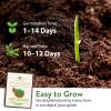 imageHome Grown 3200 Indoor Cat Grass Refill  NonGMO USA Grown Catnip Oat ampamp Alfalfa Seeds  Cat Grass Kit Replacement  FastGrowing Pet Grasses for Cats Digestion ampamp Hairball ReliefOutdoor