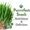 imageHome Grown 3200 Indoor Cat Grass Refill  NonGMO USA Grown Catnip Oat ampamp Alfalfa Seeds  Cat Grass Kit Replacement  FastGrowing Pet Grasses for Cats Digestion ampamp Hairball ReliefOutdoor