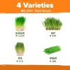 imageHome Grown 3200 Indoor Cat Grass Refill  NonGMO USA Grown Catnip Oat ampamp Alfalfa Seeds  Cat Grass Kit Replacement  FastGrowing Pet Grasses for Cats Digestion ampamp Hairball ReliefCat Grass  4pack