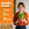 imageHome Grown 3200 Indoor Cat Grass Refill  NonGMO USA Grown Catnip Oat ampamp Alfalfa Seeds  Cat Grass Kit Replacement  FastGrowing Pet Grasses for Cats Digestion ampamp Hairball ReliefCat Grass  4pack