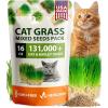 imageHOME GROWN   1 Pound Cat Grass Seeds for Cat ampamp Kittens Oat ampamp Barley Mix 100  Heirloom Grow Fresh Kitty Grass for Chewing Pet Grass for Cats Indoor Garden16 oz