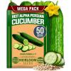imageHOME GROWN   Persian Cucumber Seeds  50 Heirloom NonGMO HighYielding Beit Alpha Variety  Fast Growing Sweet Tender Skin Home Vegetable Garden Seeds Cucumis sativus