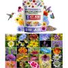 19 Varieties Perennial 3 oz