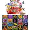 imageHOME GROWN 131200 Pure Wildflower Seeds   Premium Texas Flower Seeds 3 Oz Perennial Garden Seeds for Birds ampamp Butterflies  Wild Flowers Bulk Perennial 22 Varieties Flower Seed for Planting2 oz