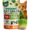 imageHOME GROWN Organic Cat Grass Seeds Pack 8oz  7200   Heirloom Oat ampamp Barley Grass Seeds for Indoor Cats  High Germination Hairball Relief Pet Grass Ready in 7Days4 Fl Oz Pack of 1