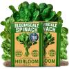 Spinach 2-Pack