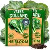 Vates Collard 2-Pack