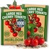 Cherry Tomato 2-Pack
