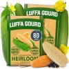 Luffa 2-Pack