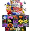 imageHOME GROWN Wildflower Seeds 3oz 89000 Flower Seed Mix  No Filler  19 Varieties USASourced Bulk Wild Flowers Seeds for Planting Butterfly ampamp Pollinator Perennial and Annual Wild Flower Mix2 oz Honeybee