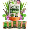 imageHome Grown 3200 Indoor Cat Grass Refill  NonGMO USA Grown Catnip Oat ampamp Alfalfa Seeds  Cat Grass Kit Replacement  FastGrowing Pet Grasses for Cats Digestion ampamp Hairball ReliefOutdoor