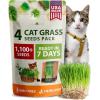Cat Grass - 4pack