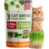 Cat Grass - 3pack