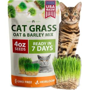 imageHOME GROWN   1 Pound Cat Grass Seeds for Cat ampamp Kittens Oat ampamp Barley Mix 100  Heirloom Grow Fresh Kitty Grass for Chewing Pet Grass for Cats Indoor Garden4 oz