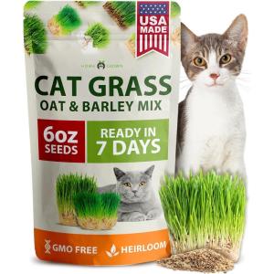 imageHOME GROWN   1 Pound Cat Grass Seeds for Cat ampamp Kittens Oat ampamp Barley Mix 100  Heirloom Grow Fresh Kitty Grass for Chewing Pet Grass for Cats Indoor Garden6 oz