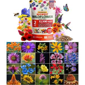 imageHOME GROWN 131200 Pure Wildflower Seeds   Premium Texas Flower Seeds 3 Oz Perennial Garden Seeds for Birds ampamp Butterflies  Wild Flowers Bulk Perennial 22 Varieties Flower Seed for Planting2 oz