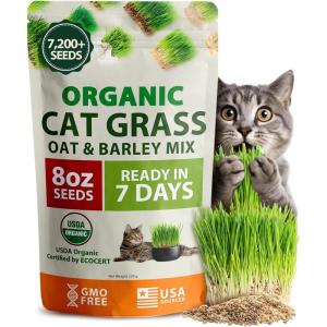 imageHOME GROWN Organic Cat Grass Seeds Pack 8oz  7200   Heirloom Oat ampamp Barley Grass Seeds for Indoor Cats  High Germination Hairball Relief Pet Grass Ready in 7Days8 oz