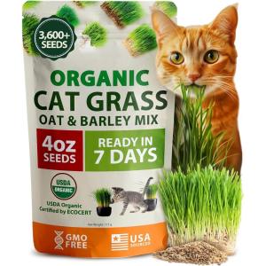 imageHOME GROWN Organic Cat Grass Seeds Pack 8oz  7200   Heirloom Oat ampamp Barley Grass Seeds for Indoor Cats  High Germination Hairball Relief Pet Grass Ready in 7Days4 Fl Oz Pack of 1