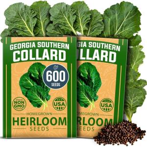 imageHOME GROWN San Marzano Tomato Seeds  132 Heirloom   Seeds  High Germination Tomatoes for Indoor ampamp Outdoor Growing  Classic Paste Variety for Gardeners ampamp Home UseGeorgia Collard 2Pack