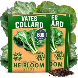 imageHOME GROWN San Marzano Tomato Seeds  132 Heirloom   Seeds  High Germination Tomatoes for Indoor ampamp Outdoor Growing  Classic Paste Variety for Gardeners ampamp Home UseVates Collard 2Pack