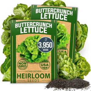 imageHOME GROWN San Marzano Tomato Seeds  132 Heirloom   Seeds  High Germination Tomatoes for Indoor ampamp Outdoor Growing  Classic Paste Variety for Gardeners ampamp Home UseButtercrunch Lettuce 2Pack