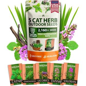 imageHome Grown 3200 Indoor Cat Grass Refill  NonGMO USA Grown Catnip Oat ampamp Alfalfa Seeds  Cat Grass Kit Replacement  FastGrowing Pet Grasses for Cats Digestion ampamp Hairball ReliefOutdoor