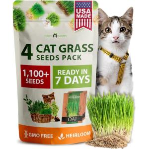 imageHome Grown 3200 Indoor Cat Grass Refill  NonGMO USA Grown Catnip Oat ampamp Alfalfa Seeds  Cat Grass Kit Replacement  FastGrowing Pet Grasses for Cats Digestion ampamp Hairball ReliefCat Grass  4pack