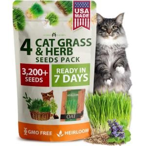imageHome Grown 3200 Indoor Cat Grass Refill  NonGMO USA Grown Catnip Oat ampamp Alfalfa Seeds  Cat Grass Kit Replacement  FastGrowing Pet Grasses for Cats Digestion ampamp Hairball ReliefIndoor