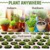 image17 Herb Culinary Seed Vault  5200 Heirloom   Seeds for IndoorOutdoor or Hydroponic Gardens  High Germination  Cilantro Mint Chives Basil Parsley ampamp More