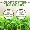 image17 Herb Culinary Seed Vault  5200 Heirloom   Seeds for IndoorOutdoor or Hydroponic Gardens  High Germination  Cilantro Mint Chives Basil Parsley ampamp More