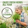 image17 Herb Culinary Seed Vault  5200 Heirloom   Seeds for IndoorOutdoor or Hydroponic Gardens  High Germination  Cilantro Mint Chives Basil Parsley ampamp More