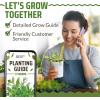 image17 Herb Culinary Seed Vault  5200 Heirloom   Seeds for IndoorOutdoor or Hydroponic Gardens  High Germination  Cilantro Mint Chives Basil Parsley ampamp More