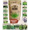 image17 Herb Culinary Seed Vault  5200 Heirloom   Seeds for IndoorOutdoor or Hydroponic Gardens  High Germination  Cilantro Mint Chives Basil Parsley ampamp More